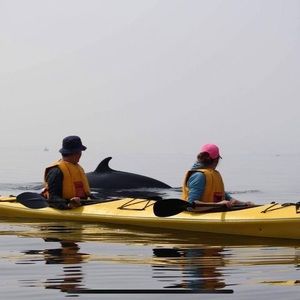 Meet your Posher, Marco morin